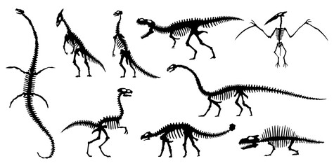 Collection silhouettes of dinosaurs skeletons. Vector hand drawn dino skeletons. Dinosaurs bones, exhibit fossils in the museum. Sketch set Velociraptor, Diplodocus, Parasaurolophus etc © designer_things