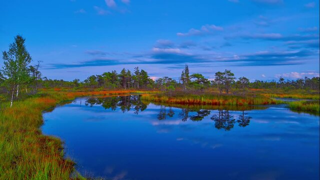 Full moon
Moonrise beautiful landscape
Swamp in Latvia Baltics.
Sulfur springs eerie place.
Dangerous marsh land.
Time lapse Kemeri national park
Shot URSA 4.6K