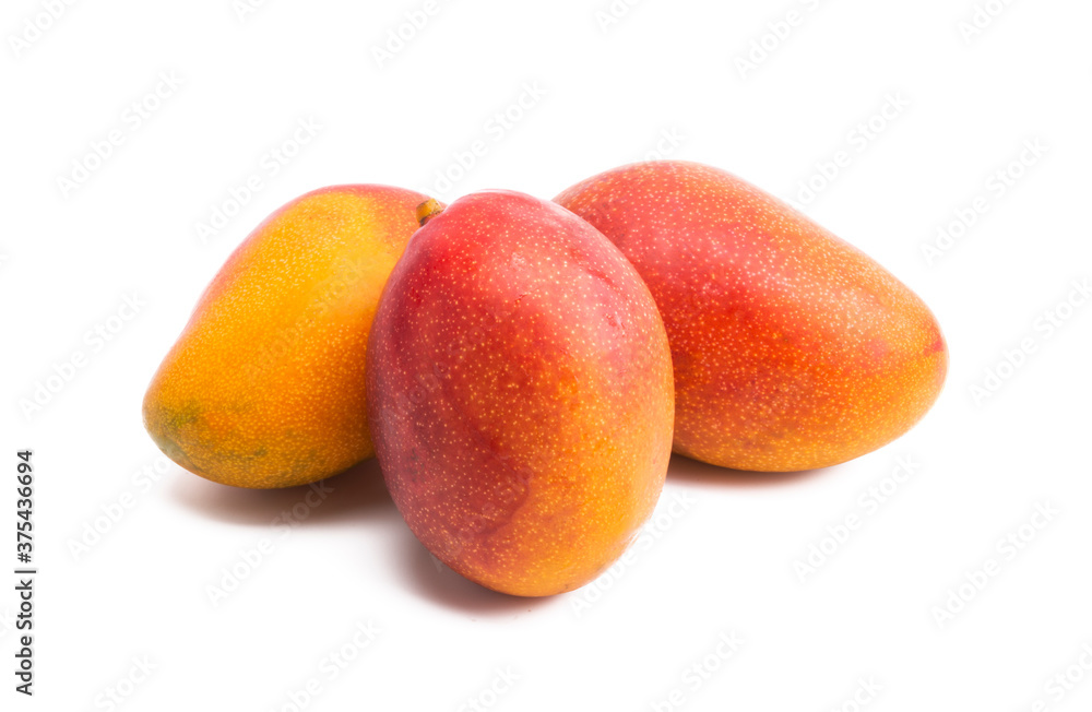 Sticker mango fruit isolated