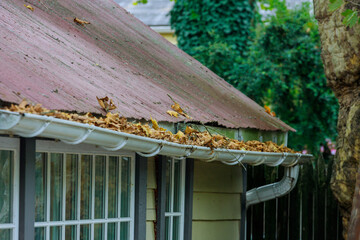 Dirty roof with gutter with leaves requiring cleaning