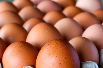 Chicken eggs with brown skin neatly arranged
