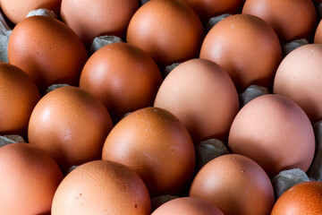Chicken eggs with brown skin neatly arranged