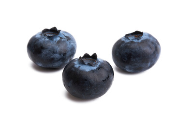 blueberry berries isolated