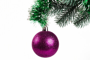 Purple Christmas ball on a spruce branch decorated with tinsel, white background, isolate. close-up