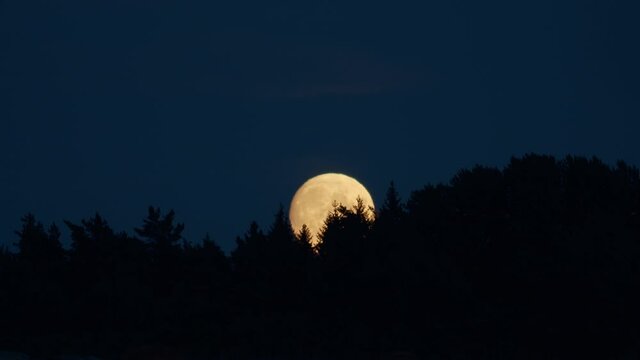 Almost full moon waxing gibbous rise over trees time lapse