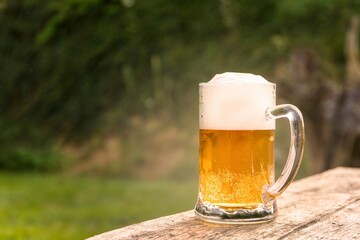 Glass of beer on a wooden board. Blurred background. Home celebration. Cold beer.