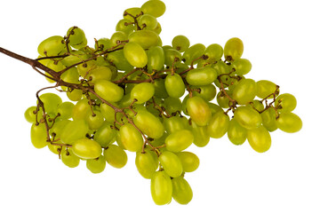 Bunch of ripe table grapes on white background isolated