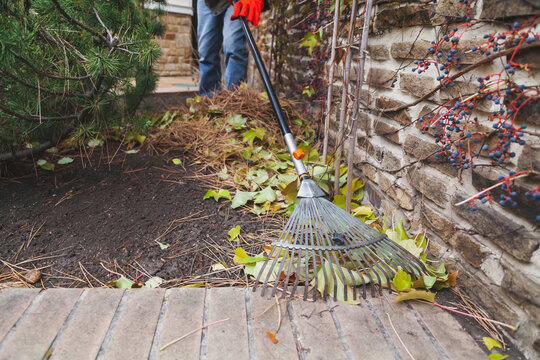Fan rake remove fallen leaves from brick step