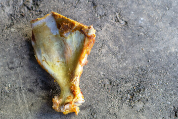 An animal bone (shoulder blade) with cut meat lies on black asphalt