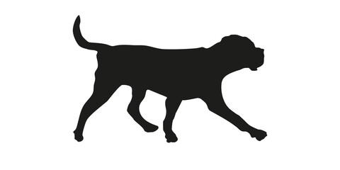 Black silhouette of italian mastiff puppy isolated on a white background.
