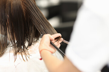 Master holds wet ends of hair and cuts them. Hairdressing services and training of the master of...