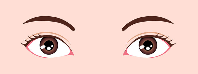 Eye shapes ( eyeball size and position ) vector illustration