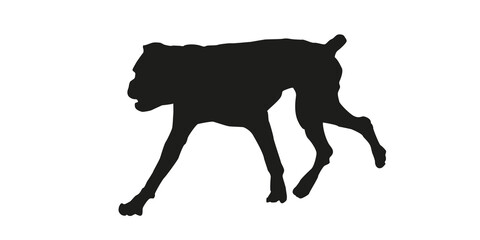 Black silhouette of running german boxer puppy. Isolated on a white background.