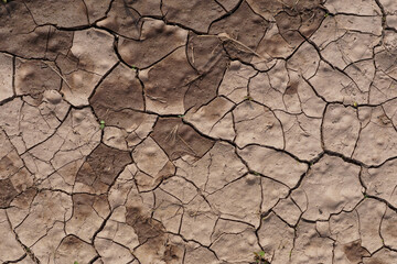 Dried and cracked soil in a draught