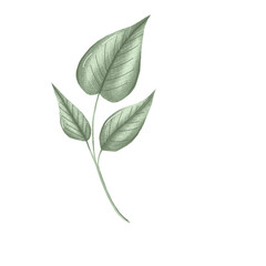 green leaves nursery wall art element, hand drawn greenery