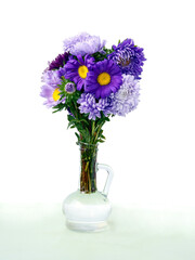 pretty,multicolor asters flowers from a garden close up