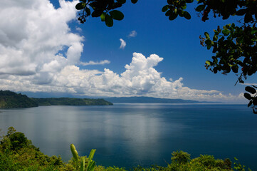 Blue calm water of Golfo Dulce at Osa Peninsula Costa Rica under Cashew tree