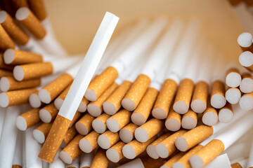 lot of cigarette tubes with yellow filter.