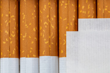 tobacco paper on top of cigarettes with yellow filter