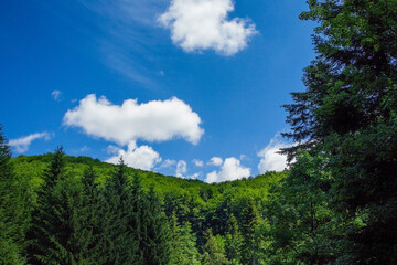 Mesmerizing scenery of green landscape with blue sky in the background