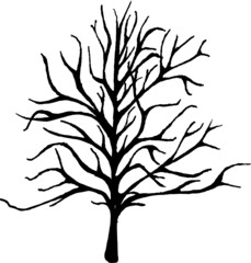 Obraz premium Christmas tree theme winter vector