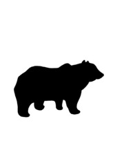 Christmas theme winter vector 