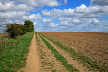 Wanderer auf einem Feldweg 
