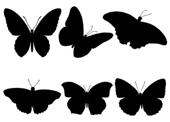 Butterflies in the set.