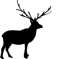 Christmas theme winter vector 