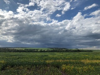 green field and blue sky