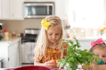 Little girl peeling a clementine in the kitchen