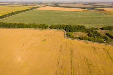Fototapeta na wymiar Aerial shot of colourful fields divided by rows of green trees. No people