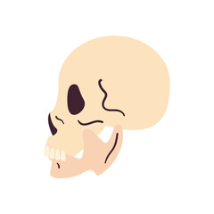 skull head side view free form style icon vector design