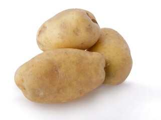 raw potatoes from field for cooking close up