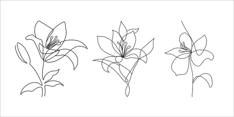 Black and white illustration set of lilys flowers, continuous line drawing. Hand drawn vector decorative element for invitation and decoration, postcard, flyer, banner, website