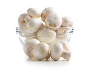 Fototapeta na wymiar Fresh white champignon mushrooms
