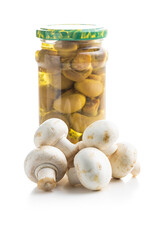 Fresh white champignon mushrooms