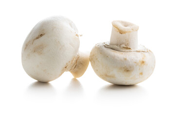 Fresh white champignon mushrooms