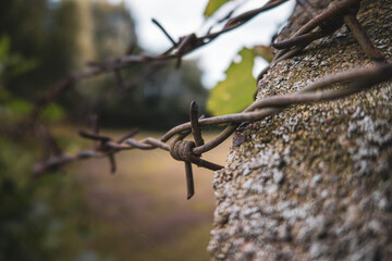  close-up of a rusty barbed wire on a concrete pillar