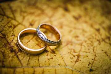 Two wedding rings on an autumn leaf. Autumn wedding concept. Love concept