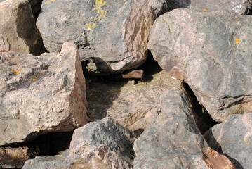 Close Up of Large Rocks on Beach 