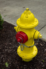 yellow fire hydrant on the street