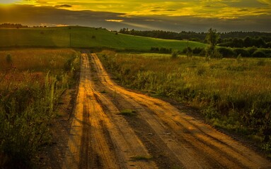 Obraz premium country road in the field