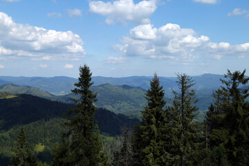 Summer carpathian mountain landscape