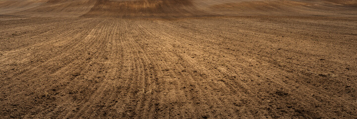 wide panoramic view of arable land with long rows of furrows. autumn or spring hilly cultivated...