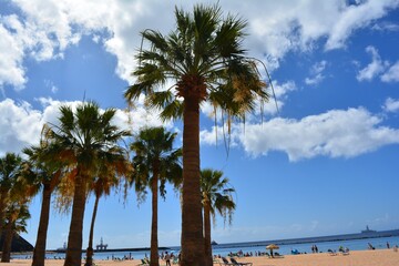 Palm beach Tenerife - Teresitas