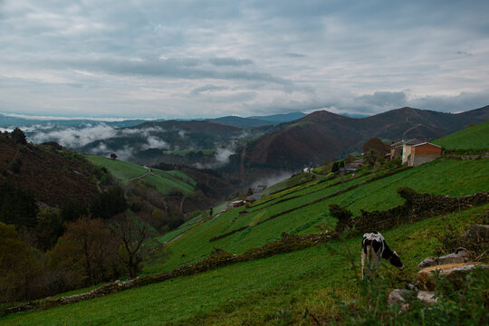Imagens de Tineo Explore Fotografias do Stock, Vetores e Vídeos de