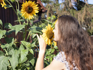 Naklejka premium A young young lady sniffs a sunflower