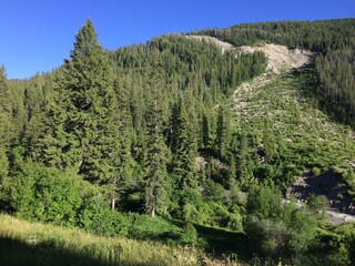 mt saint Helens in Washington