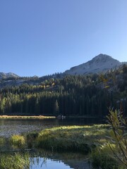 Mt. Millicent, silver lake, Brighton Utah, Wasatch Mountains, mountain peak with grassy meadow and forest